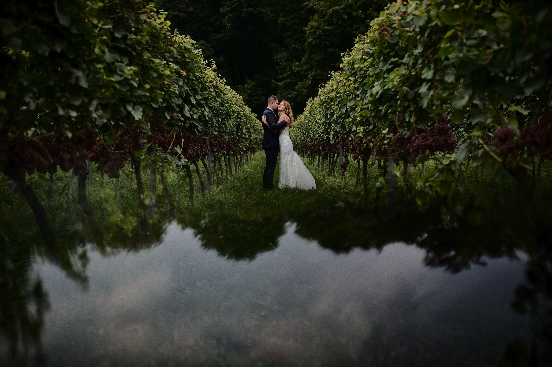 plener ślubny w winnicy, winnica kraków, plener ślubny kraków